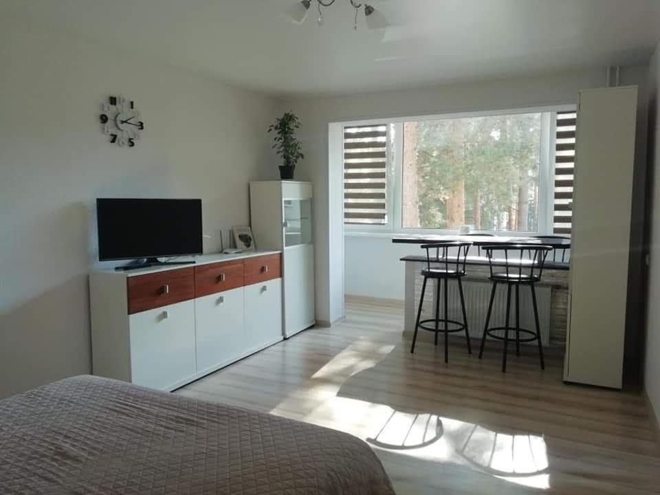 Light One Room Apartment Visaginas Dış mekan fotoğraf