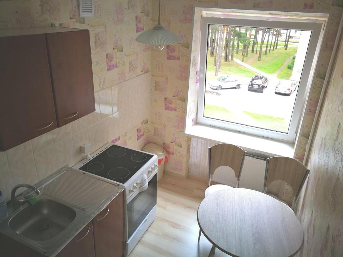 Light One Room Apartment Visaginas Dış mekan fotoğraf