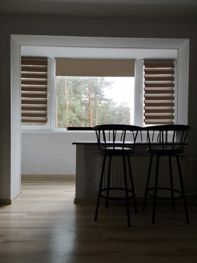 Light One Room Apartment Visaginas Dış mekan fotoğraf